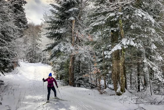 From Nature to Adventure: Exploring Lake Placid's Attractions and Activities